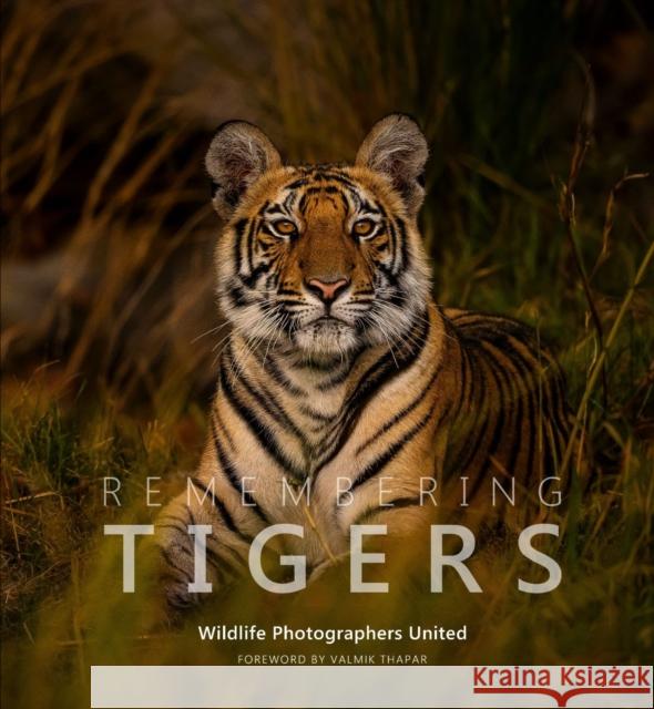 Remembering Tigers Margot Raggett Wildlife Photographers United 9781999643386 Remembering Wildlife - książka