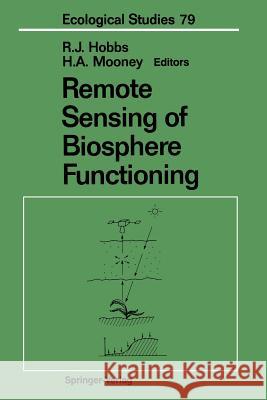 Remote Sensing of Biosphere Functioning Richard J. Hobbs Harold A. Mooney 9781461279587 Springer - książka