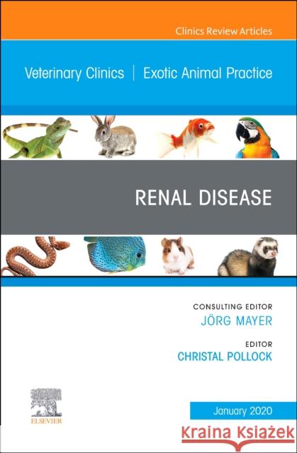 Renal Disease, An Issue of Veterinary Clinics of North America: Exotic Animal Practice  9780323712750 Elsevier - Health Sciences Division - książka
