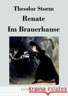 Renate / Im Brauerhause Theodor Storm   9783843028936 Hofenberg - książka
