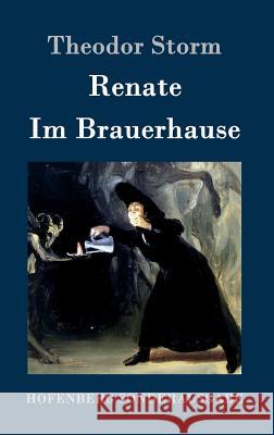 Renate / Im Brauerhause Theodor Storm 9783861997818 Hofenberg - książka