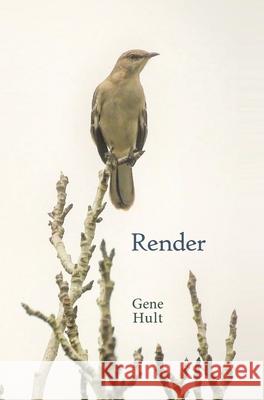 Render Gene Hult 9781733538077 Brighten Press - książka
