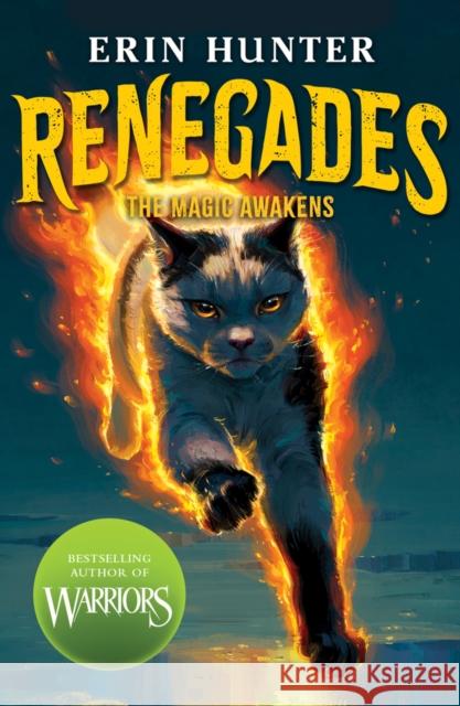 Renegades: The Magic Awakens Erin Hunter 9780702348785 Scholastic - książka