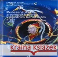Renesanční sklo a evropská tvorba v pozdním benátském stylu Jana Černovská 9788071012153  - książka
