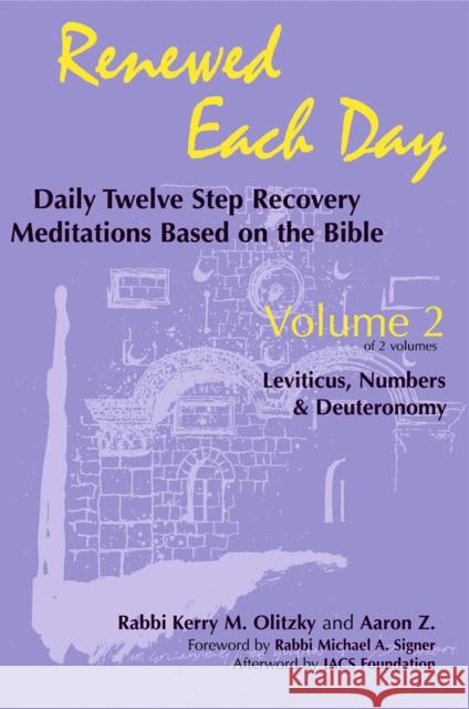 Renewed Each Day--Leviticus, Numbers & Deuteronomy: Daily Twelve Step Recovery Meditations Based on the Bible Kerry Olitzky Aaron Z Harold M. Schulweiss 9781683362630 Jewish Lights Publishing - książka
