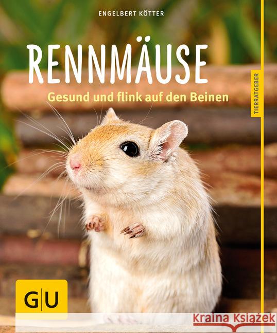 Rennmäuse : Gesund und flink auf den Beinen Kötter, Engelbert 9783833848476 Gräfe & Unzer - książka