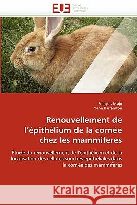 Renouvellement de l''�pith�lium de la Corn�e Chez Les Mammif�res Collectif 9786131553004 Omniscriptum - książka