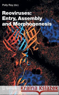 Reoviruses: Entry, Assembly and Morphogenesis Polly Roy 9783540307723 Springer-Verlag Berlin and Heidelberg GmbH &  - książka