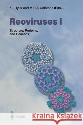 Reoviruses I: Structure, Proteins, and Genetics Tyler, Kenneth L. 9783642720949 Springer - książka
