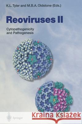 Reoviruses II: Cytopathogenicity and Pathogenesis Tyler, Kenneth L. 9783642720970 Springer - książka