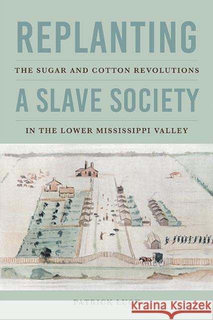 Replanting a Slave Society: The Sugar and Cotton Revolutions in the Lower Mississippi Valley Luck, Patrick 9780813947815 University of Virginia Press - książka