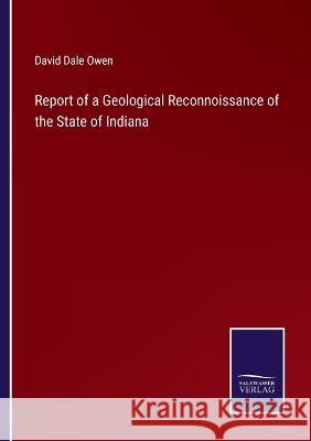 Report of a Geological Reconnoissance of the State of Indiana David Dale Owen 9783375142100 Salzwasser-Verlag - książka