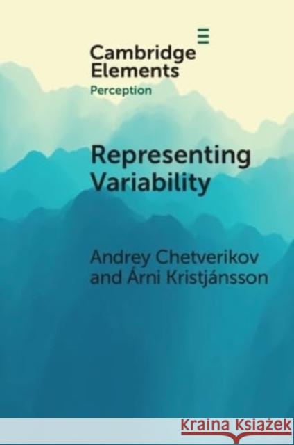 Representing Variability: How Do We Process the Heterogeneity in the Visual Environment? Andrey Chetverikov ?rni Kristj?nsson 9781009396011 Cambridge University Press - książka