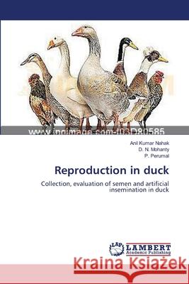 Reproduction in duck Nahak, Anil Kumar 9783659547584 LAP Lambert Academic Publishing - książka