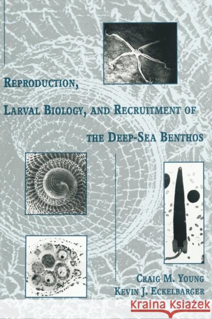 Reproduction, Larval Biology, and Recruitment of the Deep-Sea Benthos Craig M. Young Kevin J. Eckelbarger 9780231080040 Columbia University Press - książka