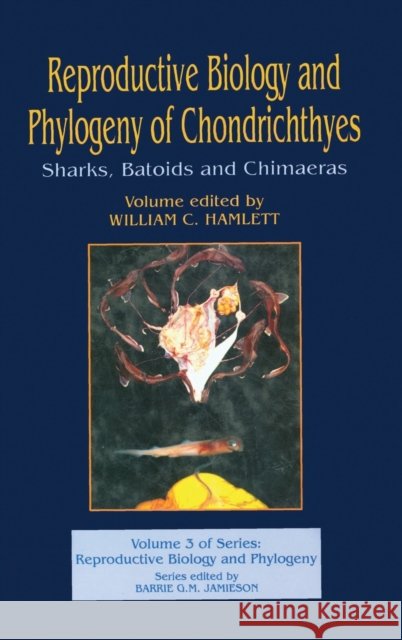 Reproductive Biology and Phylogeny of Chondrichthyes: Sharks, Batoids, and Chimaeras, Volume 3 Hamlett, William C. 9781578083145 Science Publishers - książka