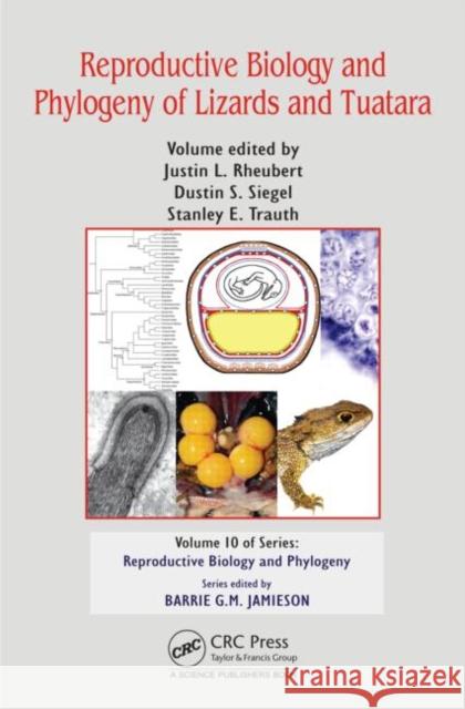 Reproductive Biology and Phylogeny of Lizards and Tuatara Justin L. Rheubert Dustin S. Siegel Stanley E. Trauth 9781466579866 CRC Press - książka