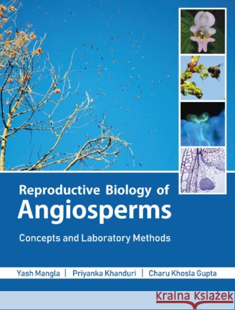 Reproductive Biology of Angiosperms Khanduri Priyanka Khanduri 9781009160407 Cambridge University Press - książka