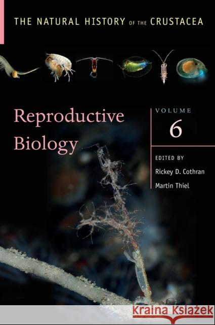 Reproductive Biology: The Natural History of the Crustacea, Volume 6 Cothran, Rickey 9780190688554 Oxford University Press, USA - książka