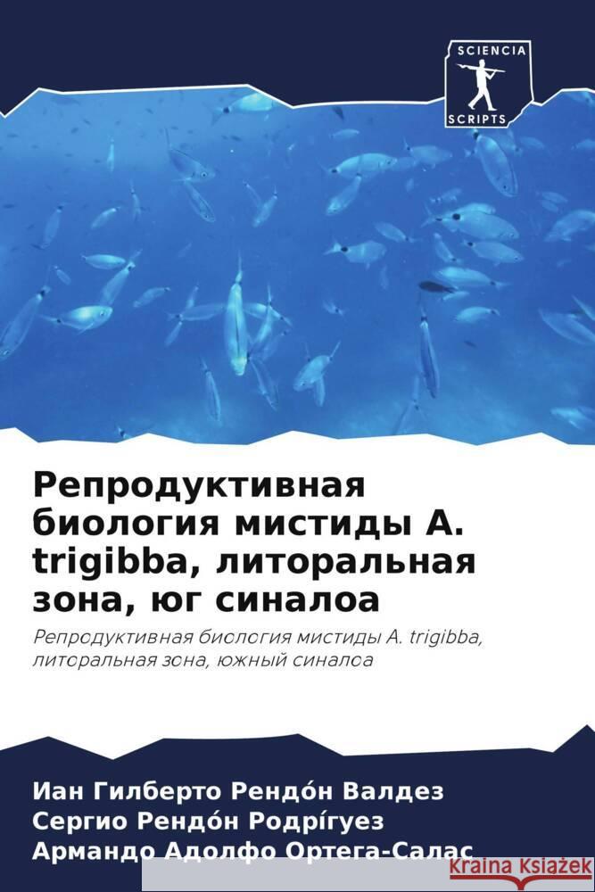 Reproduktiwnaq biologiq mistidy A. trigibba, litoral'naq zona, üg sinaloa Rendón Valdez, Ian Gilberto, Rendón Rodríguez, Sergio, Ortega-Salas, Armando Adolfo 9786204555041 Sciencia Scripts - książka