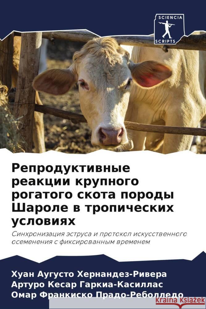 Reproduktiwnye reakcii krupnogo rogatogo skota porody Sharole w tropicheskih uslowiqh Hernandez-Riwera, Huan Augusto, Garkia-Kasillas, Arturo Kesar, Prado-Rebolledo, Omar Frankisko 9786208199814 Sciencia Scripts - książka
