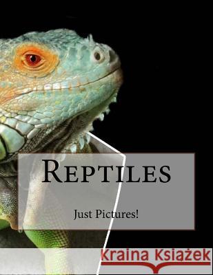 Reptiles Just Pictures! 9781546636403 Createspace Independent Publishing Platform - książka