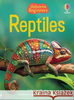 Reptiles Catriona Clarke Connie McLennan 9781835409756 Usborne Books - książka