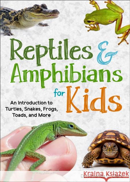 Reptiles & Amphibians for Kids: An Introduction to Turtles, Snakes, Frogs and Toads, and More Dr. Amanda D. Clark 9781647552893 Adventure Publications - książka