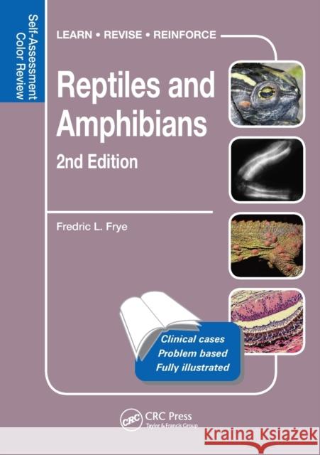 Reptiles and Amphibians: Self-Assessment Color Review, Second Edition Fredric L. Frye 9781482257601 Taylor & Francis - książka