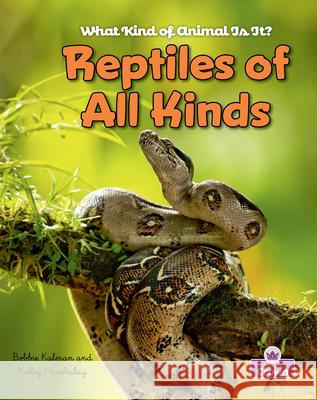 Reptiles of All Kinds Kristina Lundblad Bobbie Kalman 9781039873803 Crabtree Crown - książka