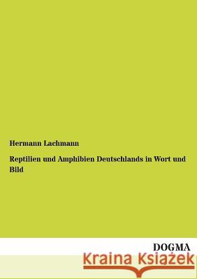 Reptilien Und Amphibien Deutschlands in Wort Und Bild Hermann Lachmann 9783955801113 Dogma - książka