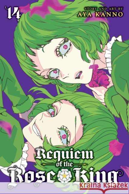 Requiem of the Rose King, Vol. 14: Volume 14 Kanno, Aya 9781974723669 Viz Media - książka