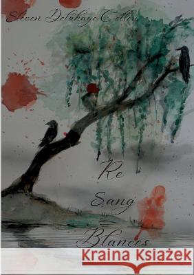 ReSangBlances: Ethan et Jules St?ven Delahaye-Colleu 9782322474790 Bod - Books on Demand - książka