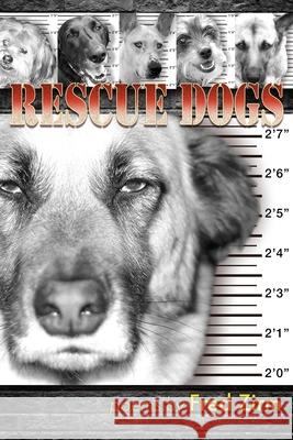 Rescue Dogs Fred Zirm 9781956285659 Poetry Box - książka