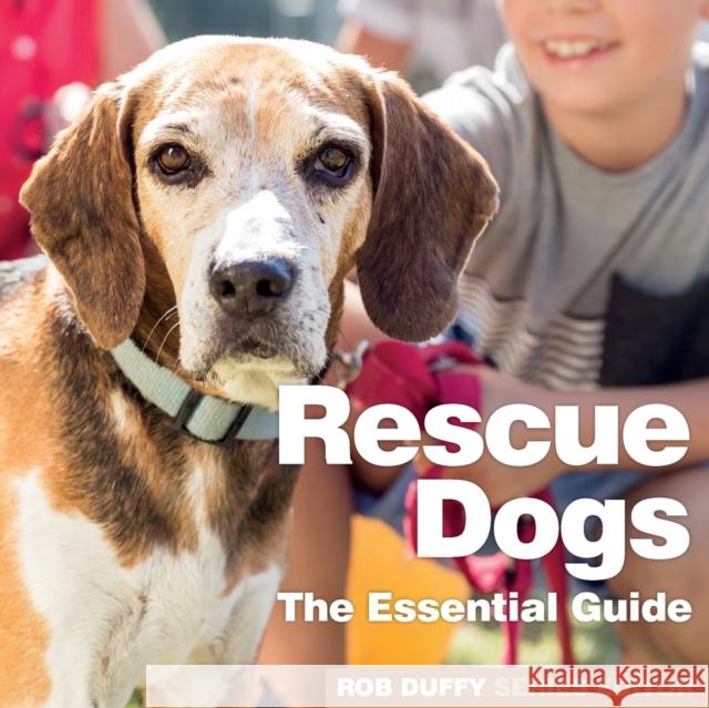 Rescue Dogs: The Essential Guide Robert Duffy 9781913296025 BX Plans Ltd - książka