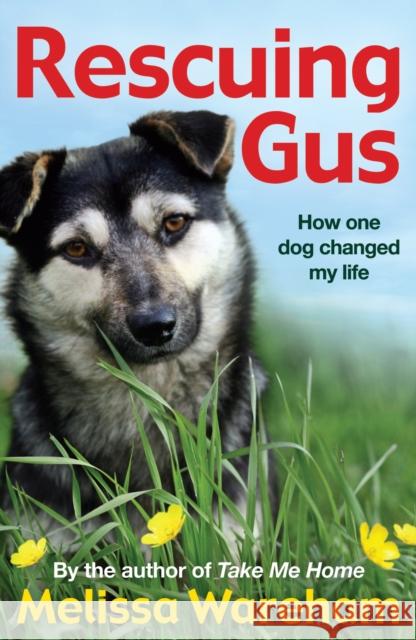 Rescuing Gus Melissa Wareham 9781782956693 RED FOX BOOKS - książka