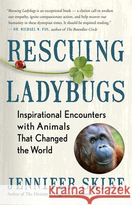 Rescuing Ladybugs: Inspirational Encounters with Animals That Changed the World Jennifer Skiff 9781608685028 New World Library - książka