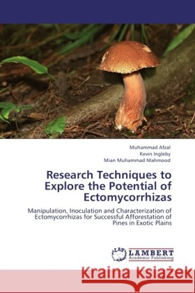 Research Techniques to Explore the Potential of Ectomycorrhizas Afzal, Muhammad, Ingleby, Kevin, Mahmood, Mian Muhammad 9783845412603 LAP Lambert Academic Publishing - książka