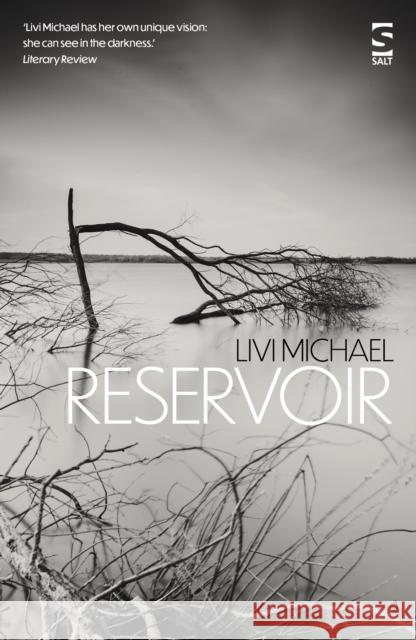 Reservoir Livi Michael 9781784632908 Salt Publishing - książka