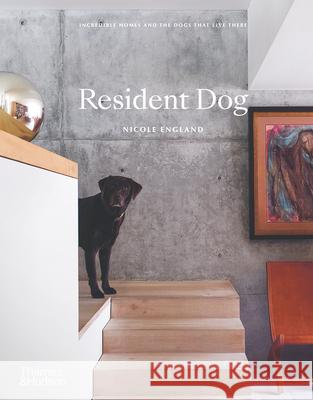 Resident Dog (Compact): Incredible Homes and the Dogs That Live There England, Nicole 9781760761318 Thames & Hudson - książka