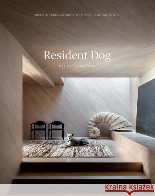 Resident Dog (Volume 2): Incredible Dogs and the International Homes They Live In Nicole England 9781784883508 Hardie Grant Books (UK) - książka