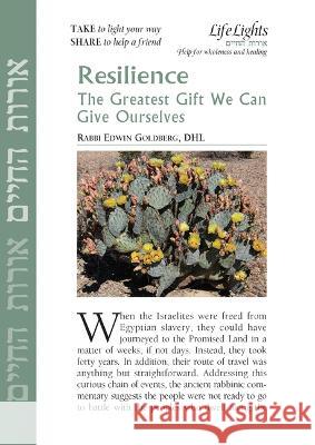 Resilience-12 Pk  9781683366409 Jewish Lights Publishing - książka