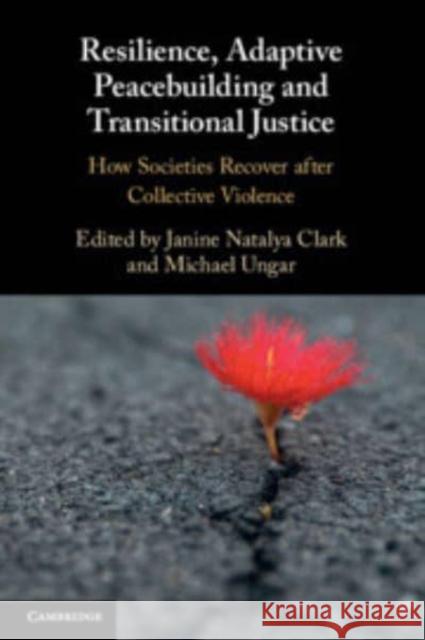 Resilience, Adaptive Peacebuilding and Transitional Justice  9781108826358 Cambridge University Press - książka