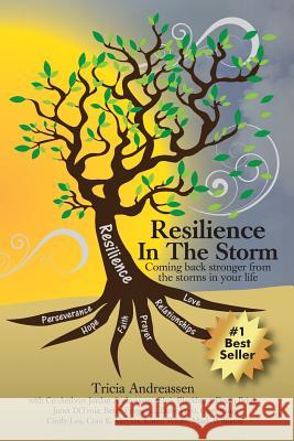 Resilience In The Storm: Coming Back Stronger From The Storms In Your Life Andreassen, Tricia 9781946265005 Creative Life Publishing & Learning Institute - książka