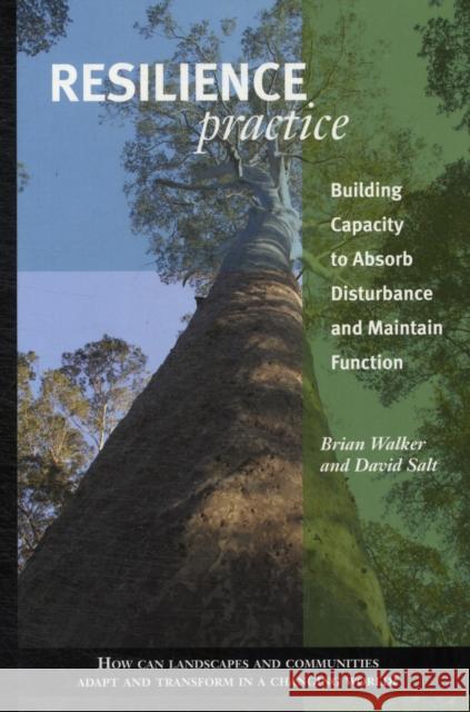 Resilience Practice: Building Capacity to Absorb Disturbance and Maintain Function Walker, Brian 9781597268011 Island Press - książka