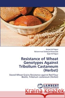 Resistance of Wheat Genotypes Against Tribolium Castaneum (Herbst) Amjad Ali Rajput Muhammad Siddique Khanzada Sajid Ali Rajput 9783659202858 LAP Lambert Academic Publishing - książka