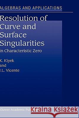 Resolution of Curve and Surface Singularities: In Characteristic Zero Kiyek, K. 9781402020285 Kluwer Academic Publishers - książka