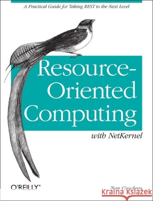 Resource-Oriented Computing with Netkernel: Taking Rest Ideas to the Next Level Geudens, Tom 9781449322526 O'Reilly Media - książka