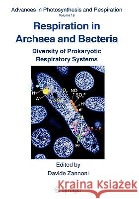 Respiration in Archaea and Bacteria: Diversity of Prokaryotic Respiratory Systems Zannoni, Davide 9781402020025 Springer - książka