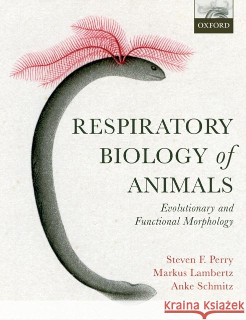 Respiratory Biology of Animals: Evolutionary and Functional Morphology Steven F. Perry Anke Schmitz Markus Lambertz 9780199238477 Oxford University Press, USA - książka